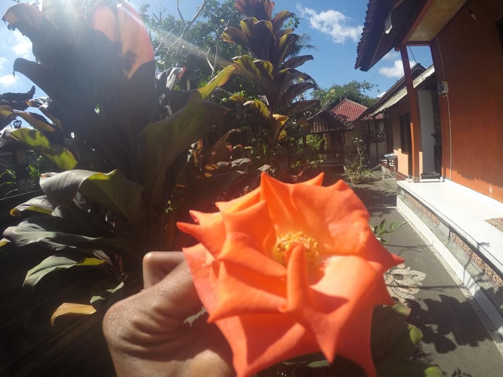 אובוד Dipa Home Stay מראה חיצוני תמונה