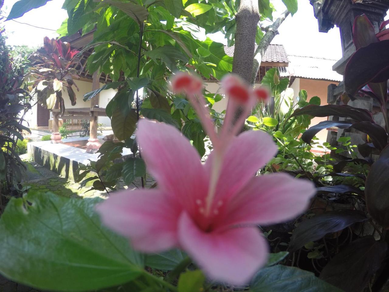 אובוד Dipa Home Stay מראה חיצוני תמונה